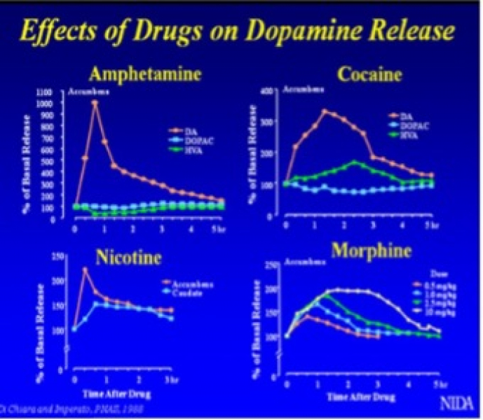 Effects of Drugs on Dopamine Release NIDA