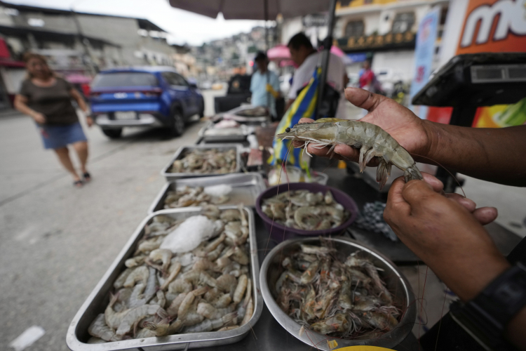 Sustainable Carbon Capture From Shrimp Waste