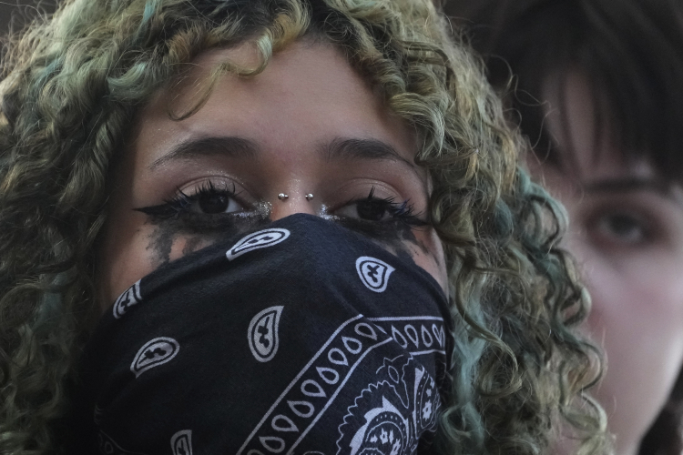 The Backlash Paradox of Radical Climate Protests