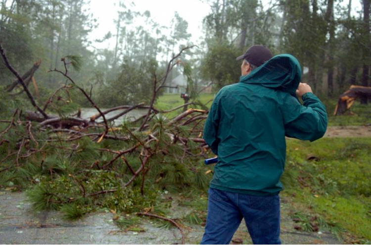 James approaching his house David Grunfeld