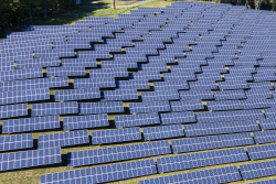 Alternatives Are Finding Ways To Stand on Their Own