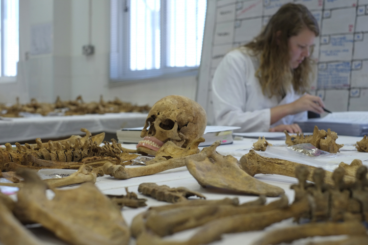 317 Skeletons Found Buried Under a Department Store