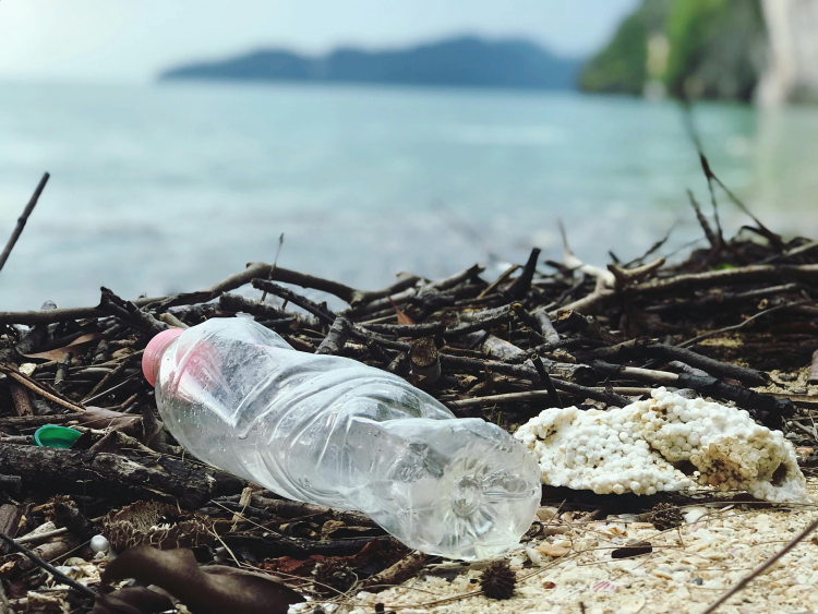 Plastic Waste Transformed Into CO2 Capture Materials