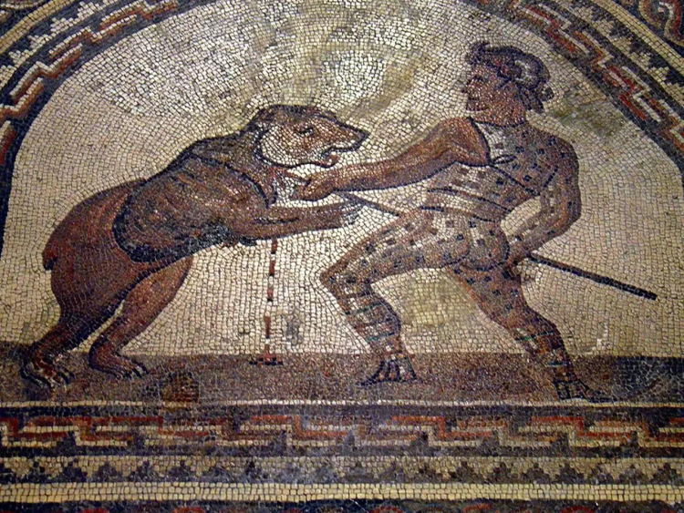 The First Evidence of a Gladiator Bear in the Roman Empire