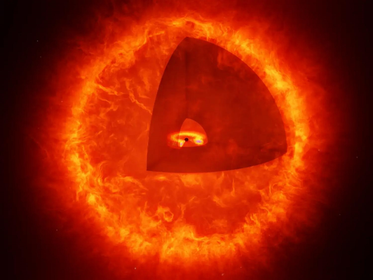 Mysterious 'Red Dots' May Be Black Hole Stars