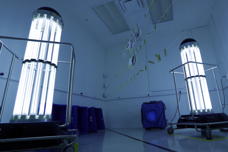 The 'Death' Rays that Guard Life