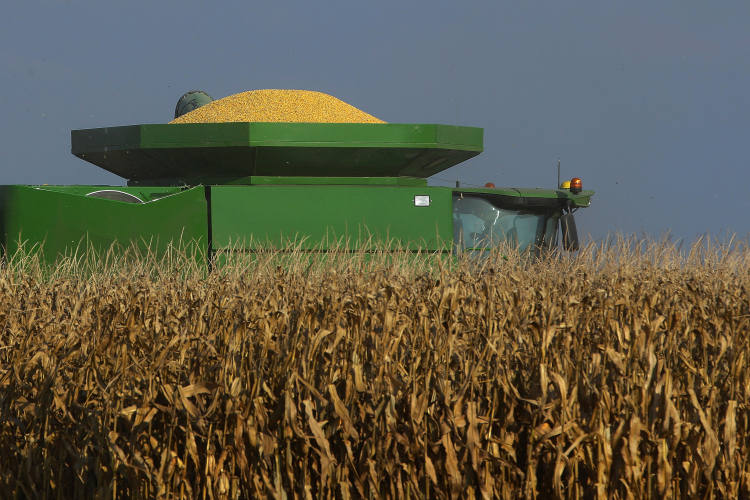 The World Is On Track for Record Harvests in 2025