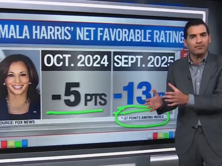 CNN's Enten: The American People Don't Want Kamala Harris, Her Favorability Rating Is