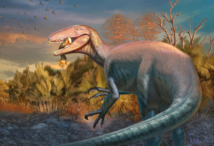 New Megaraptor Dinosaur Had Croc Bone in Its Mouth
