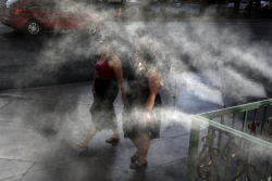 Extreme Heat Increases the Risk of Having a Stroke