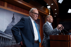 It's Never Been a Worse Time To Be a Democrat