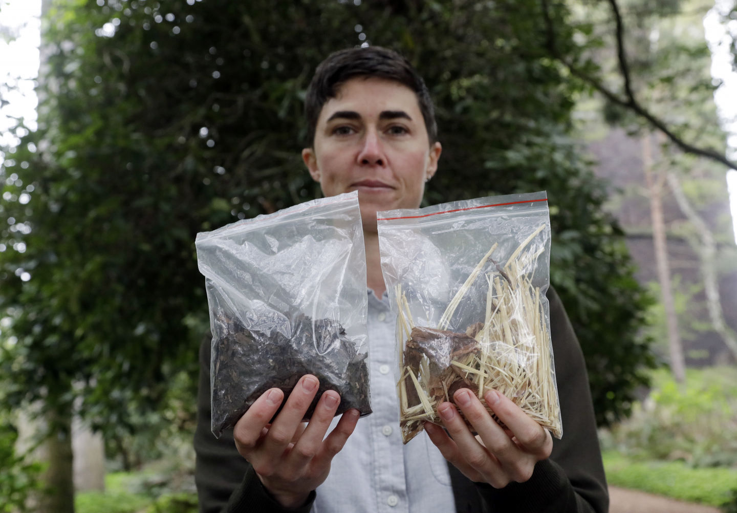 How Human Composting Turns Bodies Into Soil RealClearScience