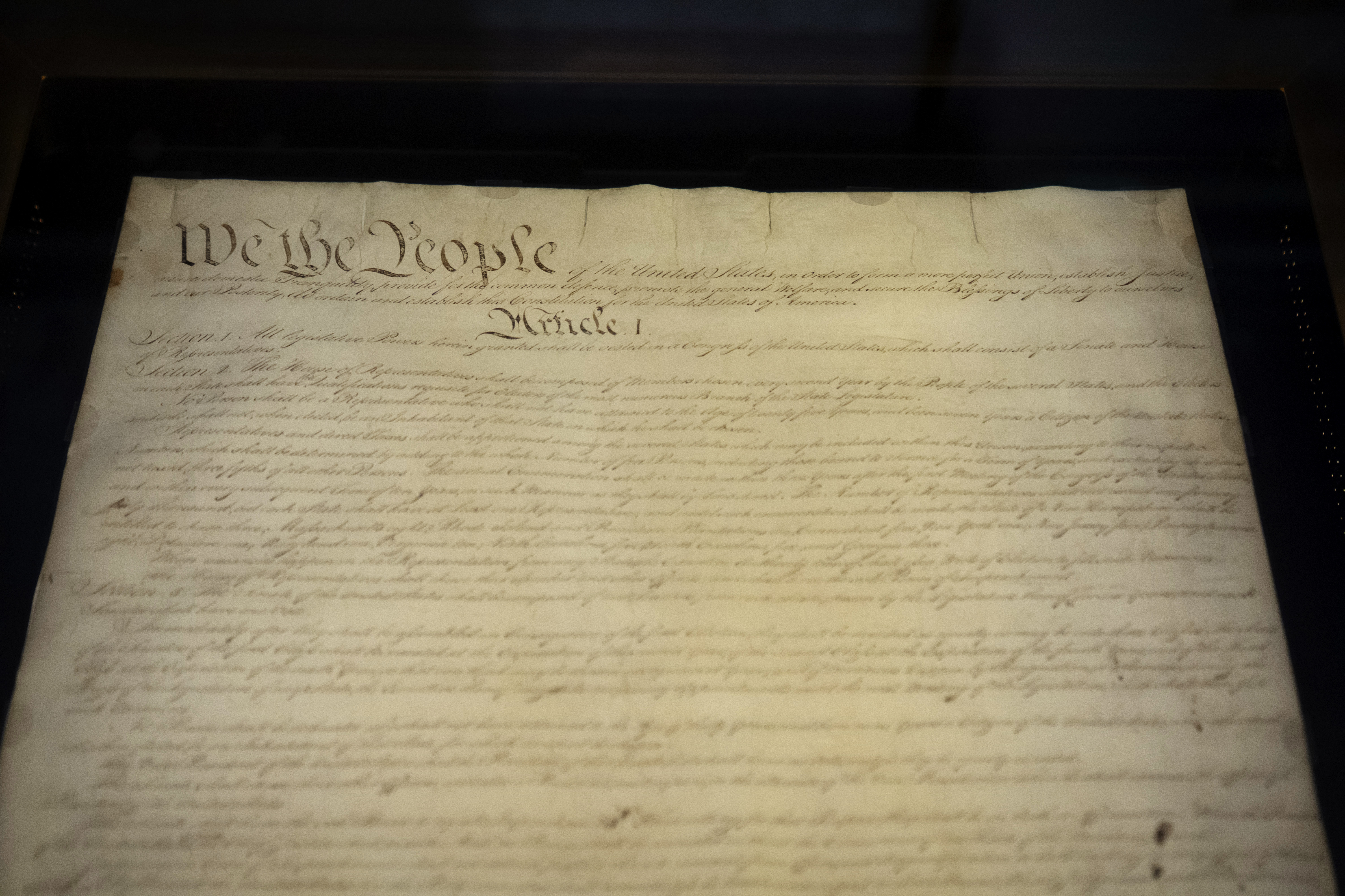 A Nation Forgetting Itself: The Cost of Civic Illiteracy