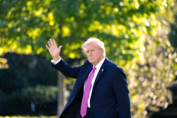 No Kings: The Lunatics Are Running the Asylum