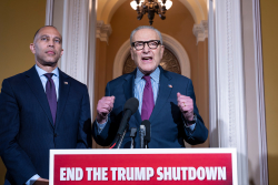 The Democrats' Strategic Dilemma The Democrats' Strategic Dilemma