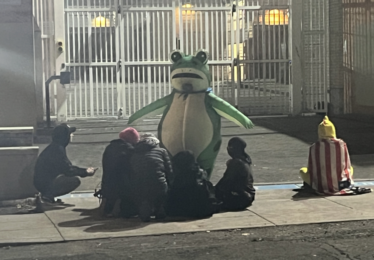 Frog protest Nancy Rommelmann