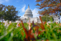 Democrats Are in a Bad Position, and Shutdown Has Not Helped