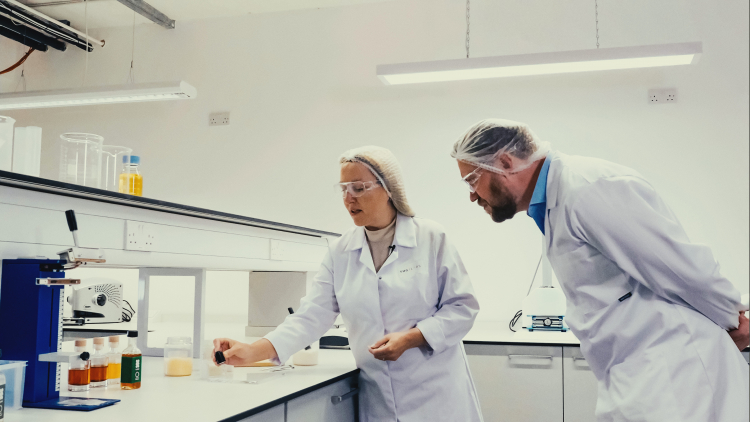 Artificial Leaf Produces Formate From Sunlight