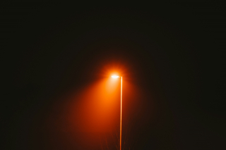 Too Intense Light Too Much Light at Night Might Be Stressing Your Heart | RealClearScience