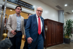 Chuck Schumer Needs To Go