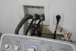 Your Washing Machine Is Actually a Time Machine