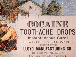 Kite & Key Media: Modern America's Health Isn't The Crisis You Think It Is