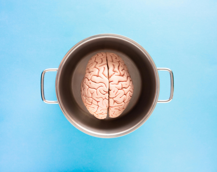 Gut Bacteria Linked to Key Brain Chemicals