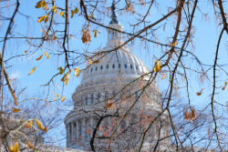 Big Government Inevitably Invites Corruption
