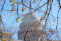 Big Government Inevitably Invites Corruption