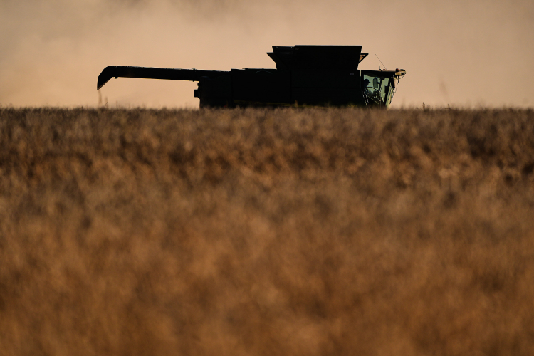 How Soybeans Quietly Took Over the American Diet