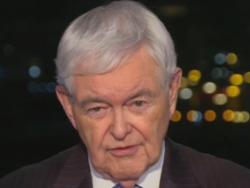 Gingrich: European Elites Decided To Side With The Third World To Undermine Their Own Countries