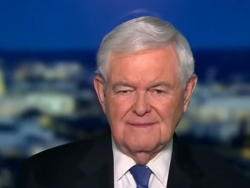 Gingrich: Minnesota Democrats Were So Afraid Of Somali Political Leadership That They Refused To Look Into Them