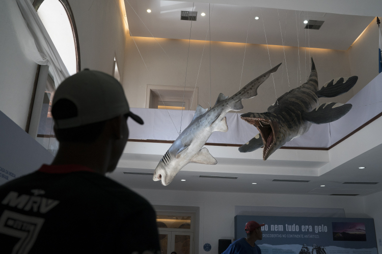 Discovery Makes Mosasaurs Even More Terrifying