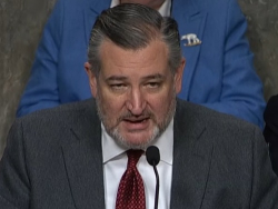 Cruz Grills FCC Chairman: Government Officials Threatening Corporations Over Content Chills Free Speech
