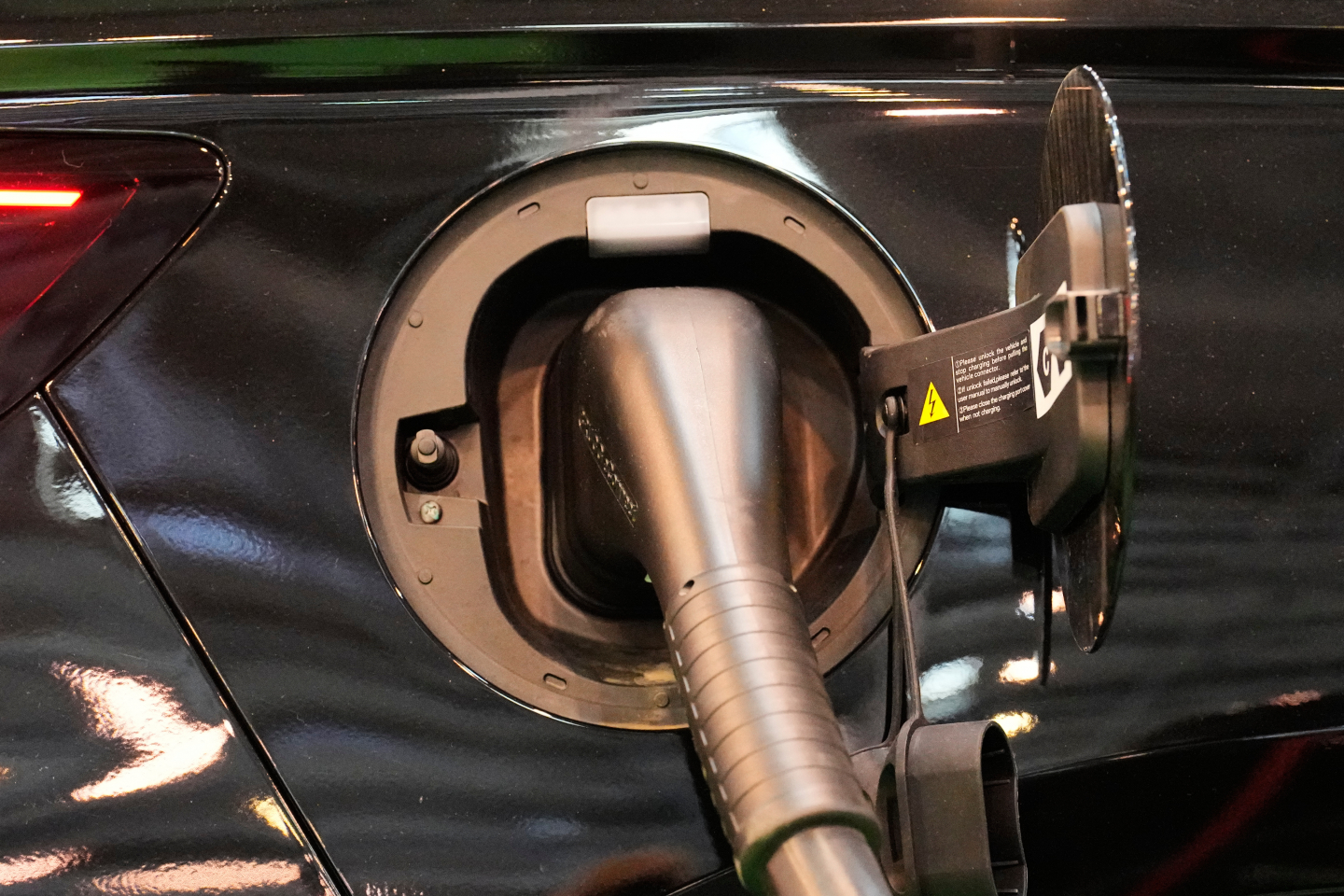 “Are Electric Vehicles a Costly Green Fad?”