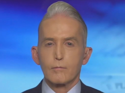 Trey Gowdy: You Can Mourn The Minneapolis Mother's Death And Still View The Shooting As Justified