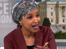 Ilhan Omar: ICE Agent "Should Know You Shouldn't Be Trying To Get In Front Of A Moving Car"
