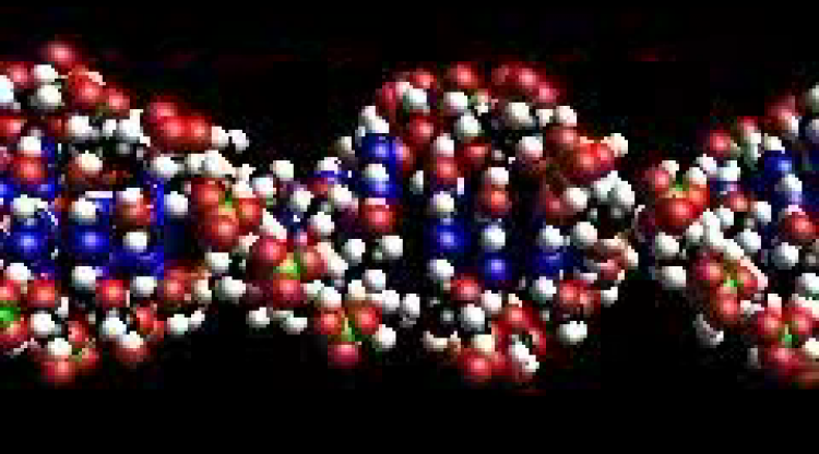 The Enzymes That Set the Rules for Reading Patterns