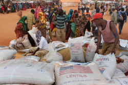 Somalia and the High Cost of Low Trust