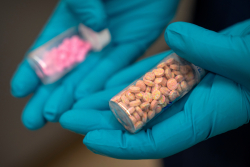 Trump Deserves Credit for Plummeting Overdose Deaths