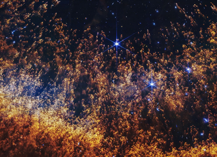 Is the Universe Too Crazy to Understand?