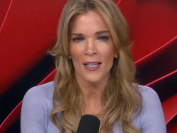 Megyn Kelly: You Know Why I Wasn't Shot By Border Patrol? I Stayed Out Of Their Operations