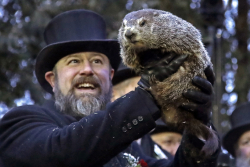 Another Democrat Shutdown: Is It Groundhog Day Again?