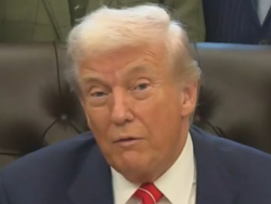 Trump: "Who Would Not Want Voter ID? Only Somebody That Wants To Cheat"