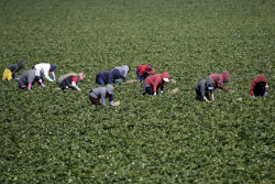 Solving the Next Labor Shortage