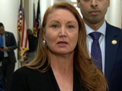 Rep. Melanie Stansbury: "The U.S. Government Is Engaged In An Active Cover-Up Of The Largest Sex-Trafficking And Influence-Peddling Scandal In History"
