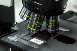 Yes, Science Has a Political Bias Problem