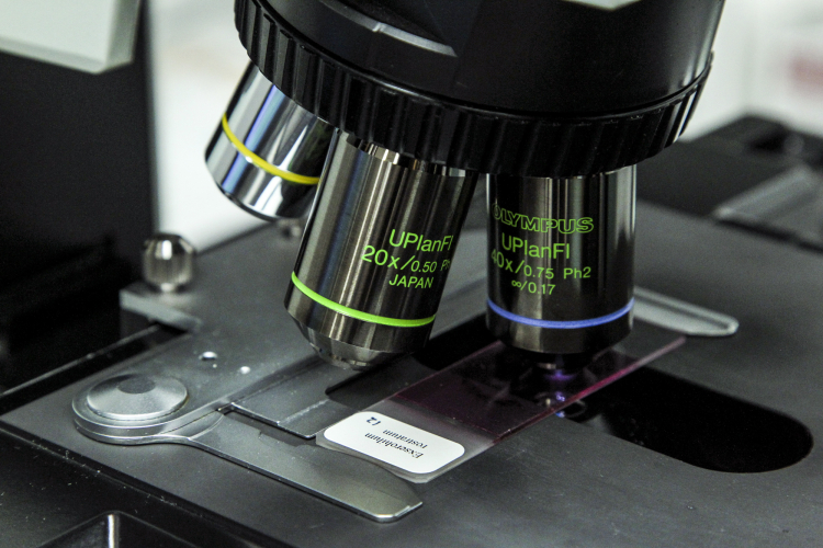 The Invulnerability Myth