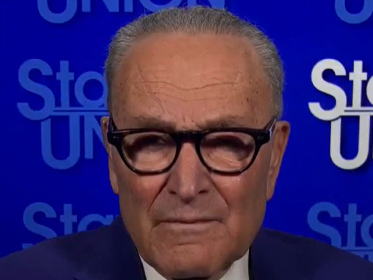 Schumer on Voter ID: “They Don’t Want Poor People To Vote, They Don’t Want People Of Color To Vote” | Video