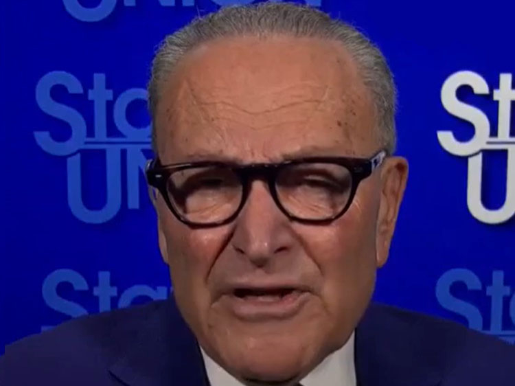 Schumer: ICE Is “A Rogue Agency,” “It Looks Like They’re Trained To Be Nasty And Cruel” | Video